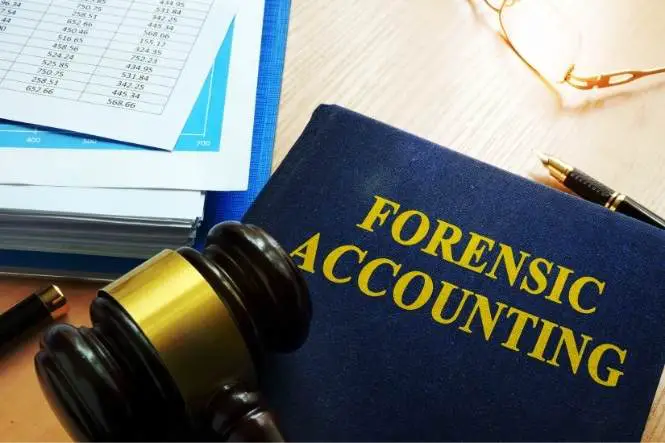 phd forensic accounting